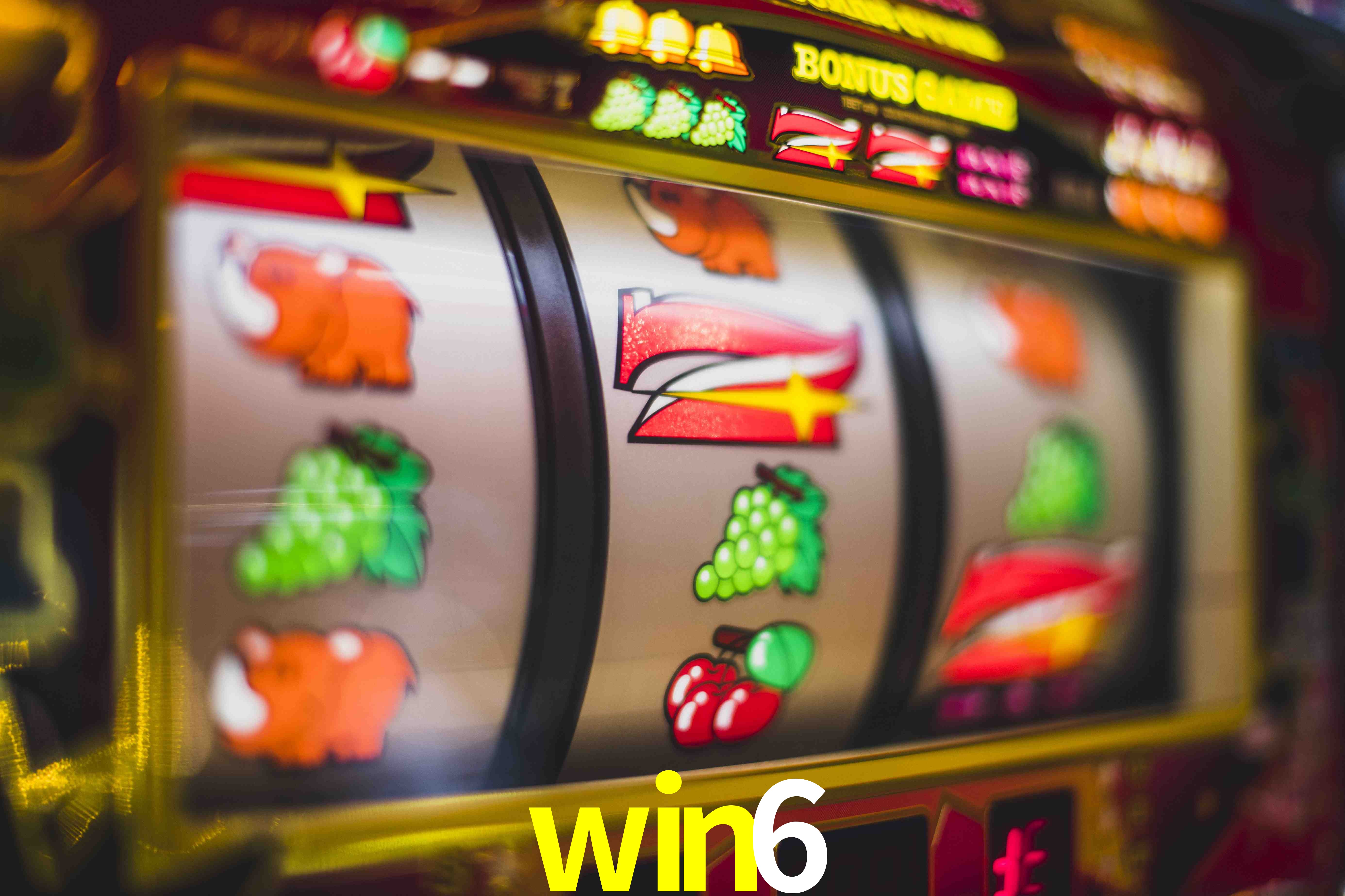 Experiência VIP win6